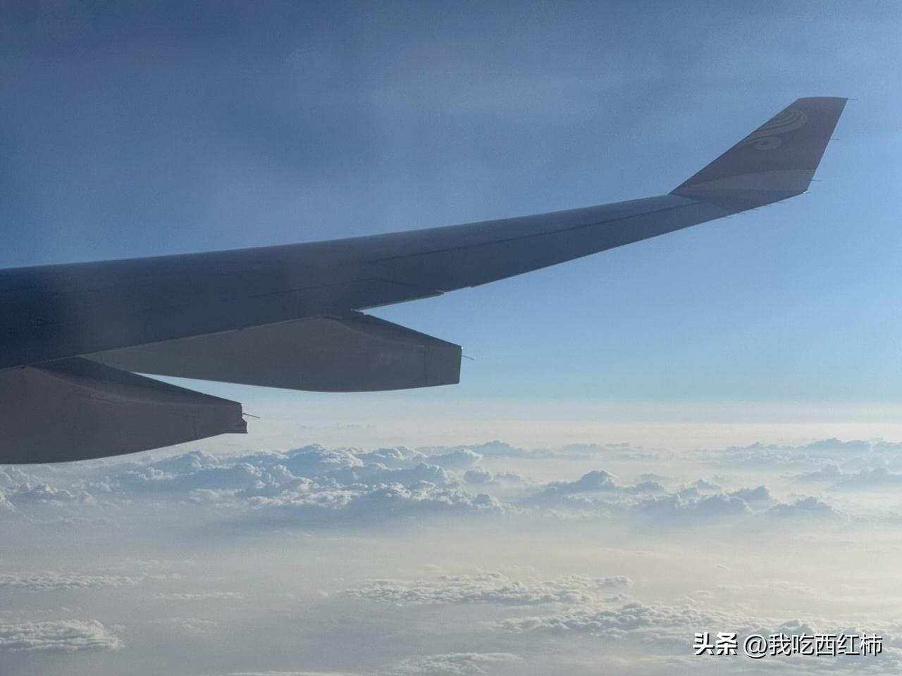 命运里所有不顺，都是“顺”的表现
今年我突然悟透了一个逻辑：人生，本质上是一个不