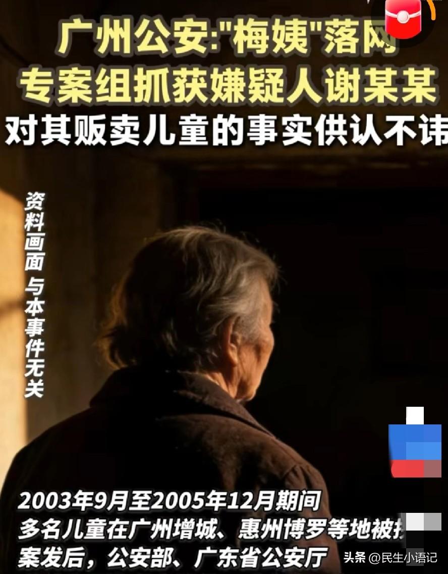 3月21日，广州警方正式通报，经过多年不懈追查，“梅姨”（谢某某，女）已被抓获。