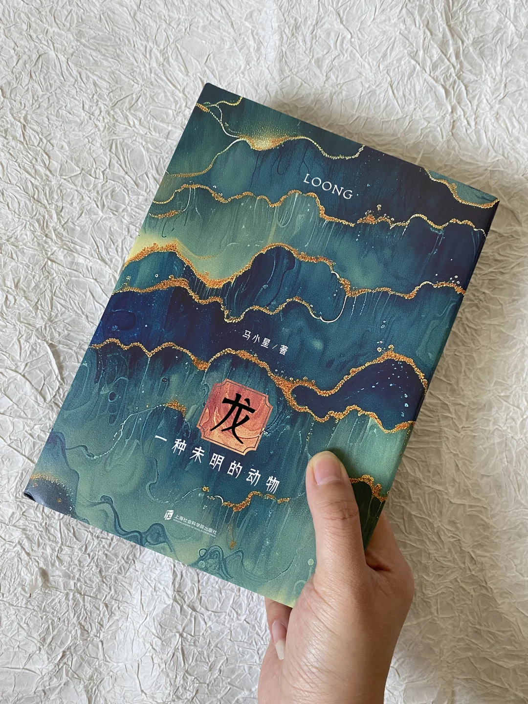 冷门历史研究  |  关于龙的考证