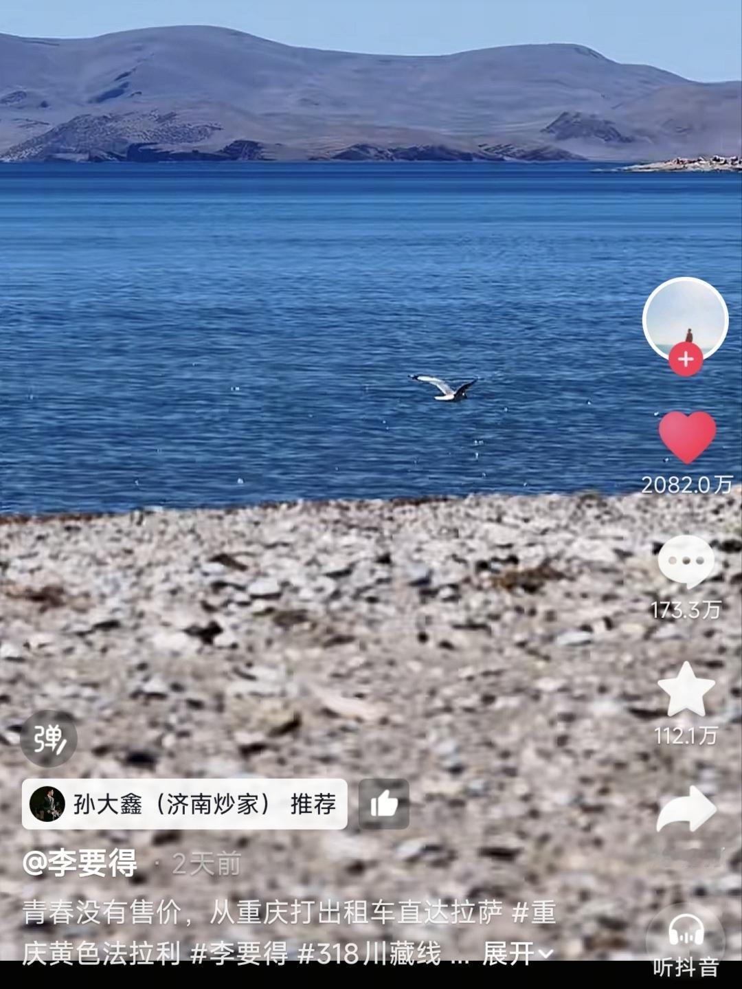 青春没有售价，出租直达拉萨。
最近西藏文旅发起的宣传西藏旅游可得50万奖励，博主