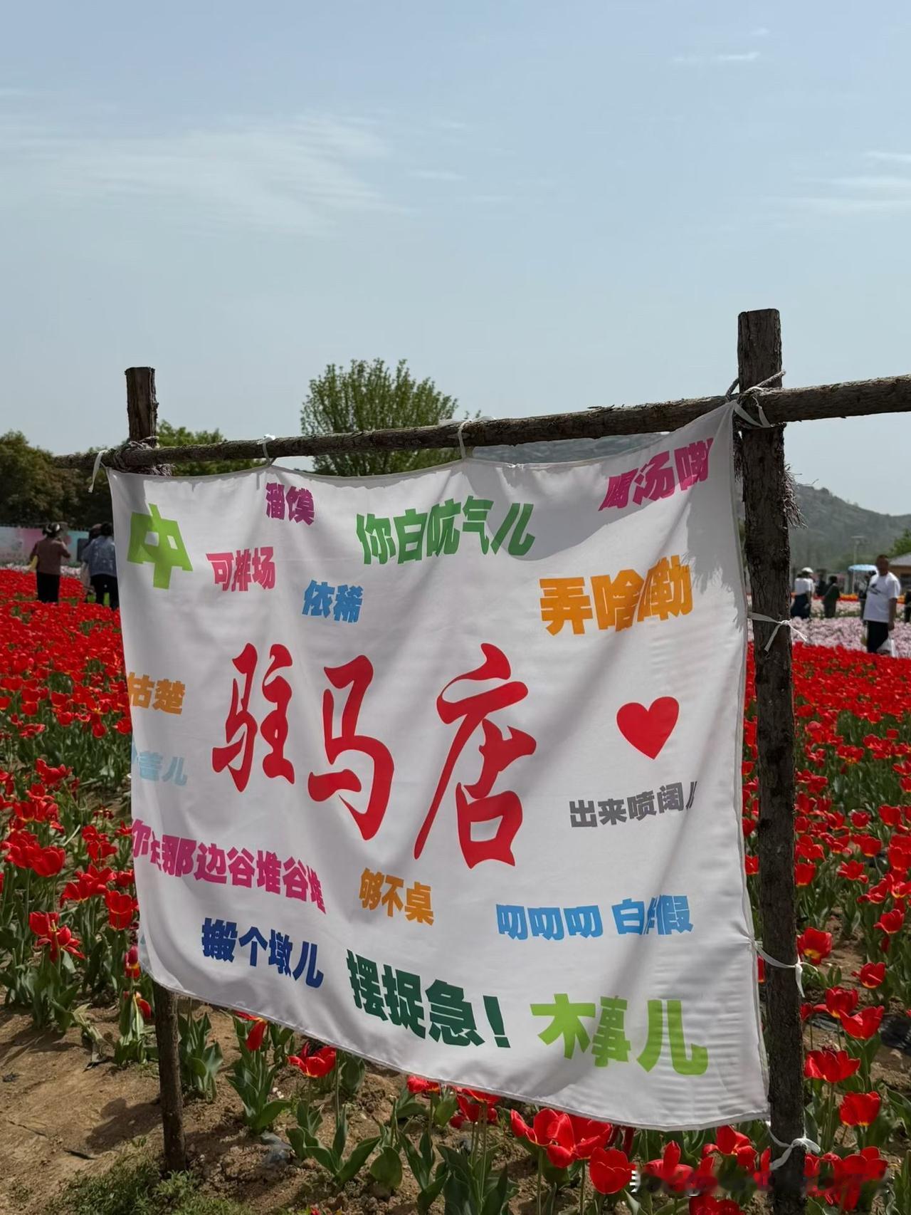 最近，发现河南豫语（方言）火了。除了河南人外，一些外地人，甚至有些老外都能整两句