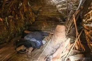 最近刷到张家界七星山荒野挑战赛，流量爆棚！38天极限生存的女选手“冷美人”生病了