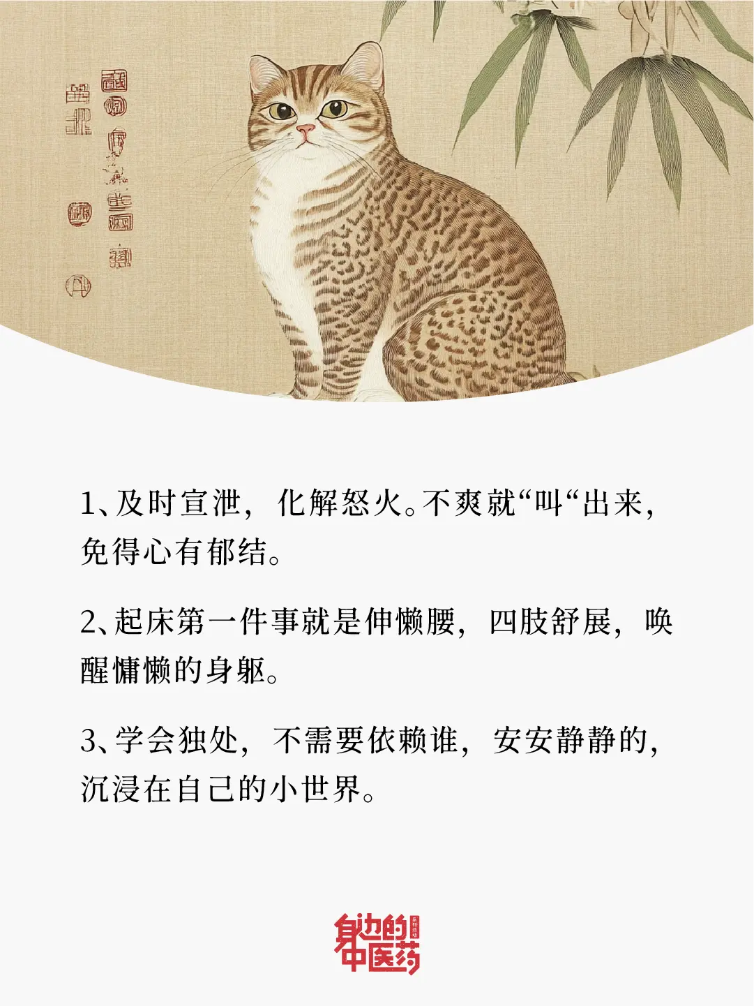 人要学着像小猫猫一样，慵懒、惬意、倔强中带点小傲娇~