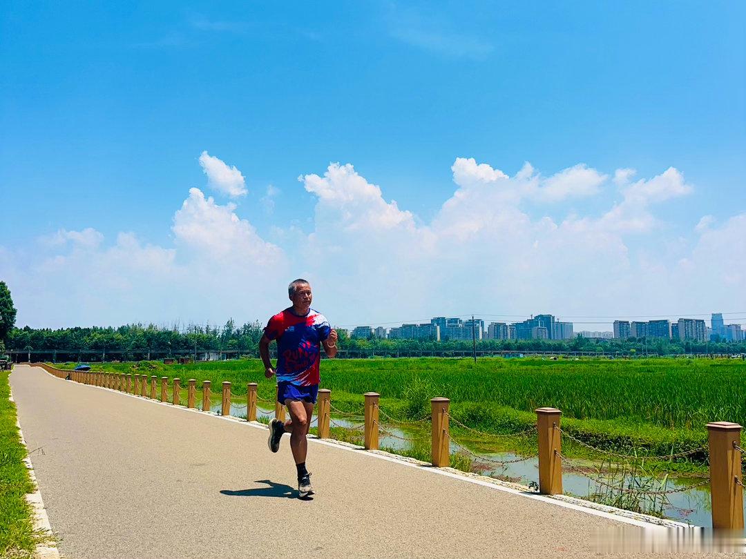 蓝天、白云、稻田、荷花、森林，路在脚下！滇池绿道跑步21公里，太美！跑完后在江尾