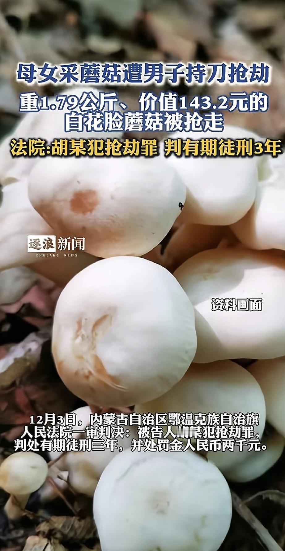 “这么大‘事业’，你就抢一百多块钱？”这事儿听着都离谱。

一对母女在山上采的蘑