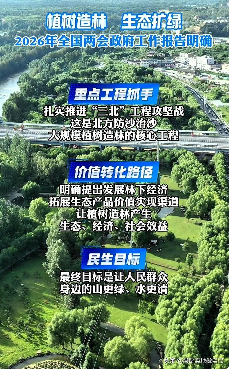 全国两会定调！2026植树造林这么干，榆林做法太亮眼🌲
 
家人们！2026全