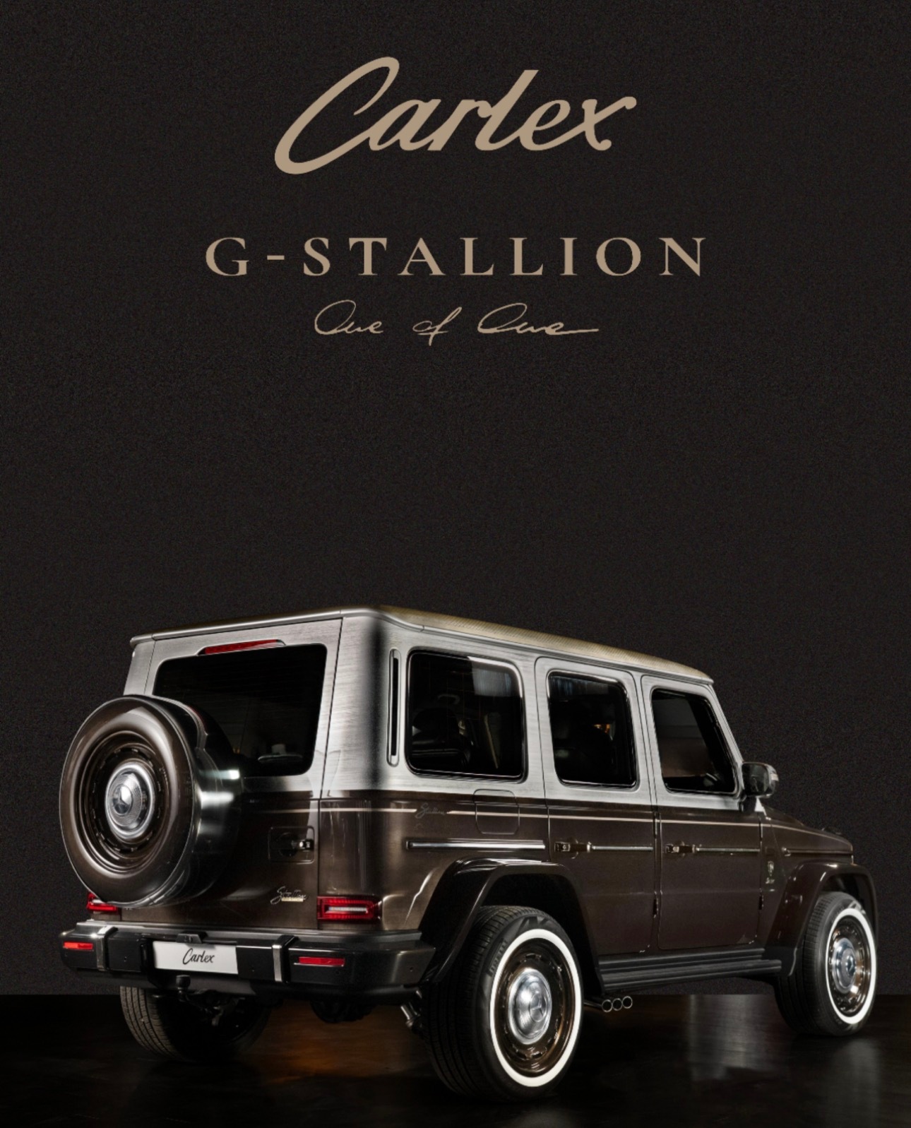 全球限定版Carlex G-STALLION！等于整体外观件和内饰件全部进行了重