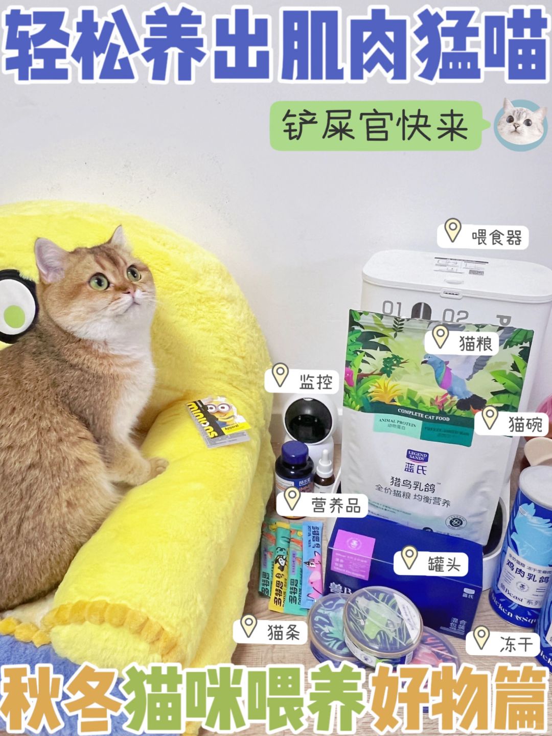 秋冬猫咪喂养好物篇｜轻松养出肌肉猛喵～
