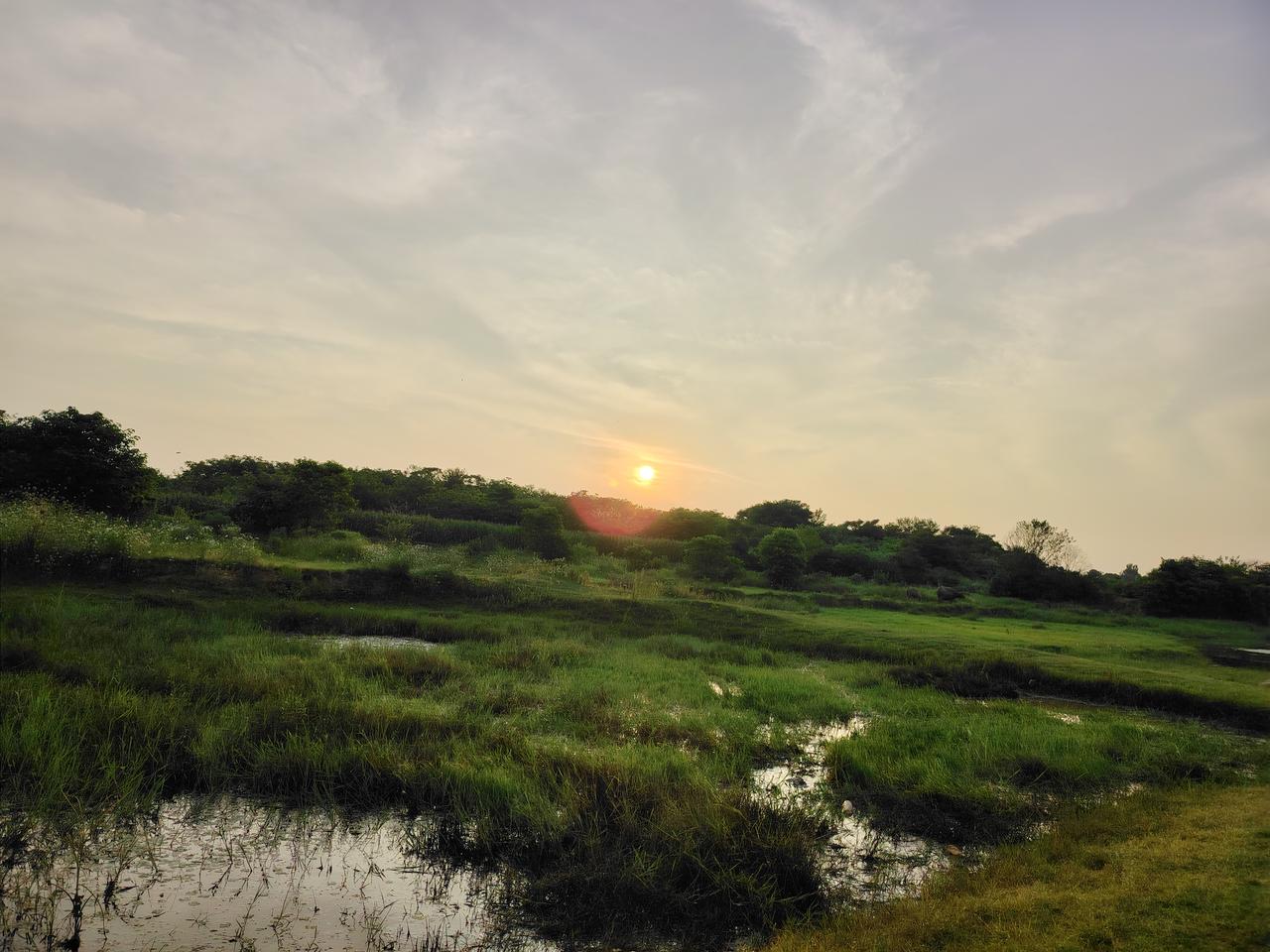 夕阳之美