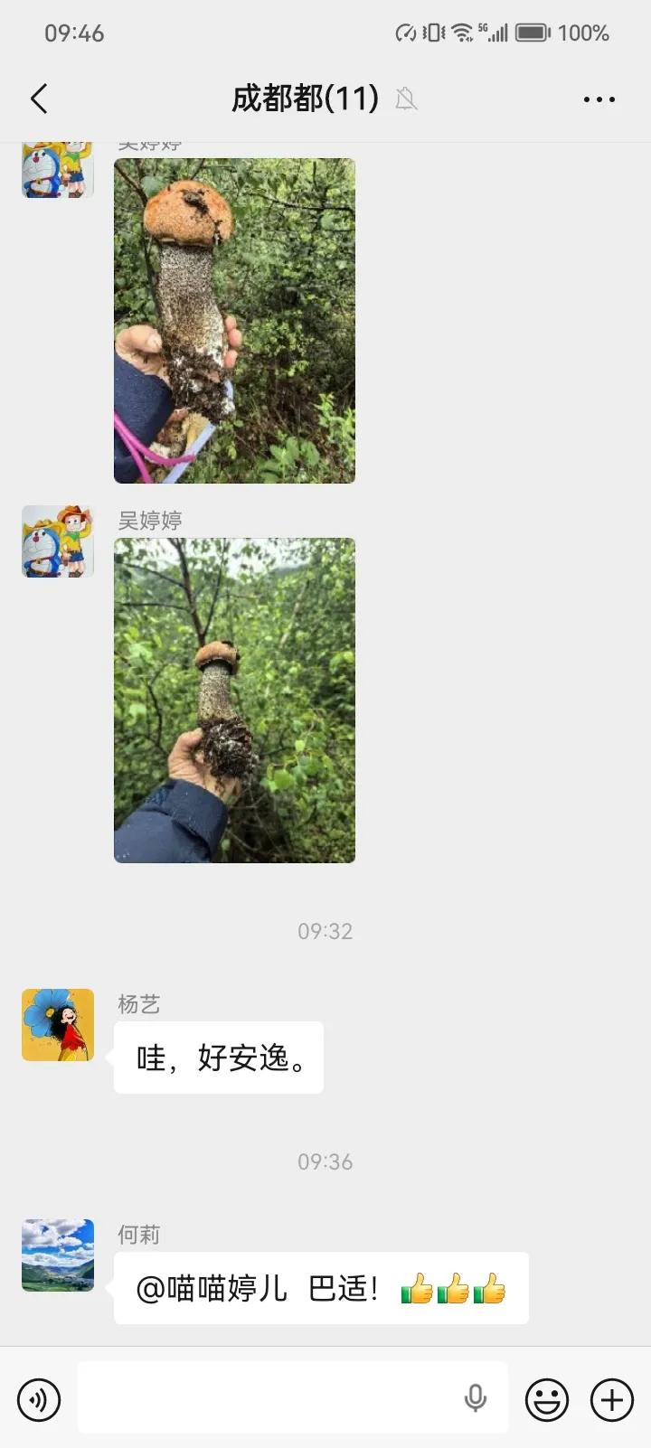 圣洁新都桥，赴一场迟来的高原春约
 
支教群里，同事婷婷、永刚、燕燕、邓哥等人周