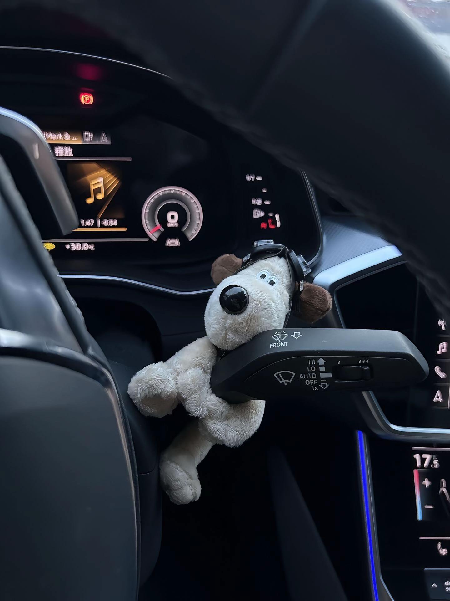 哈哈哈好可爱的小狗，放在车上真好看