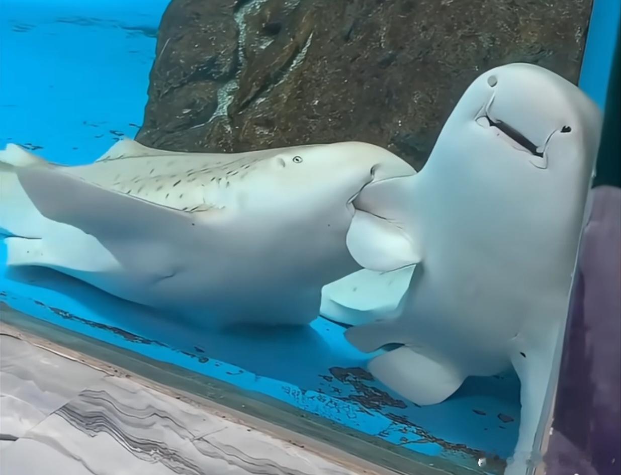 研究AI的科学家用电脑进行三种生存策略模拟结果:1、碰到就攻击的黑暗森林法则。2