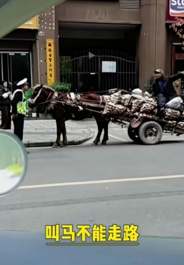 大爷赶着马车上马路，却被交警拦下了，被告知马不能上马路。大爷反问道：马路马路，马