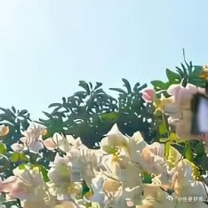 🌞每日一善🌞阳光信用人生的路经历过，才知道有短有长；岁月，在无憾中微笑，才美