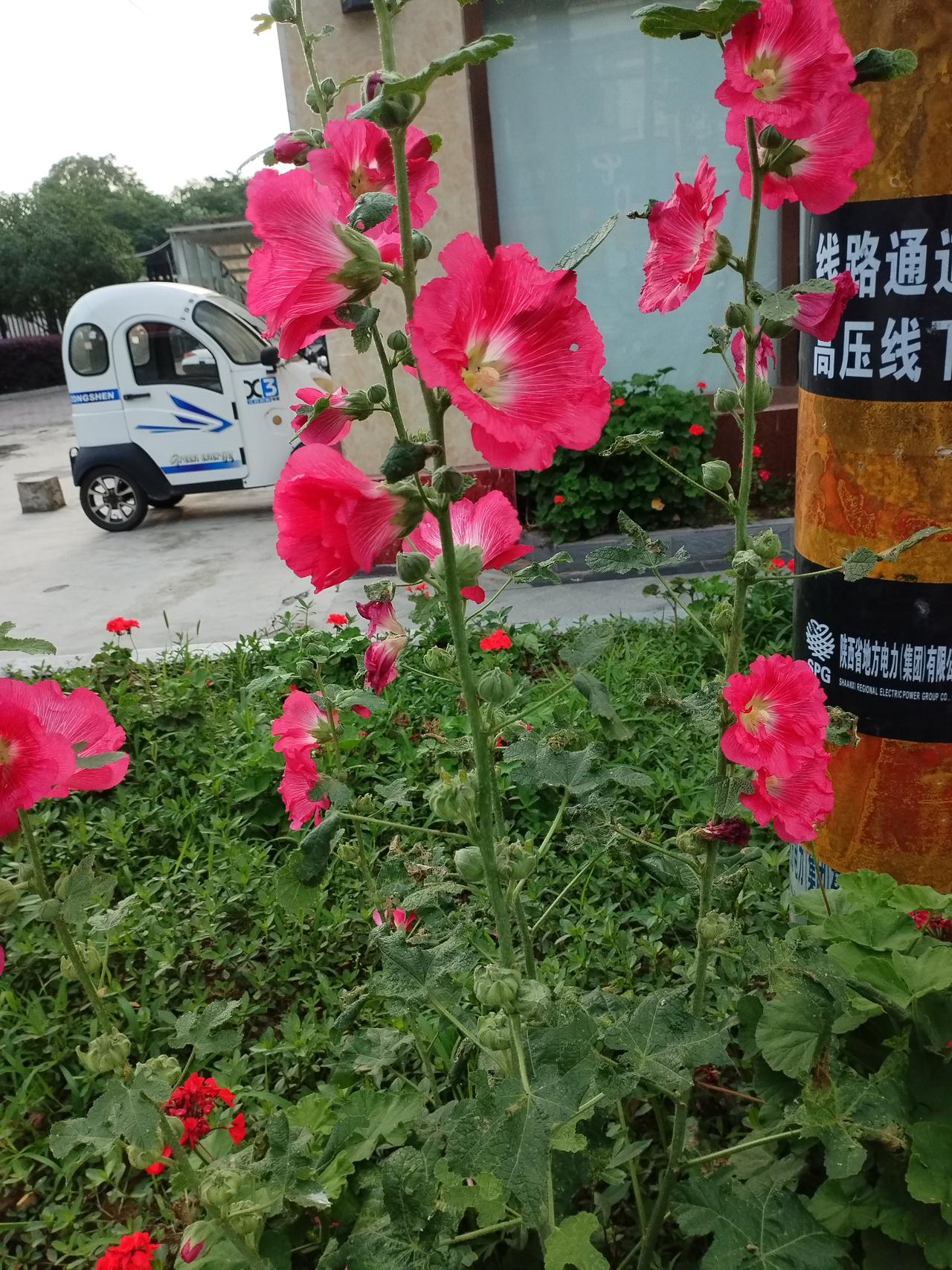 可以对成：

上联：勤勤恳恳种菜
下联：认认真真养花

分析说明
结构对应

“