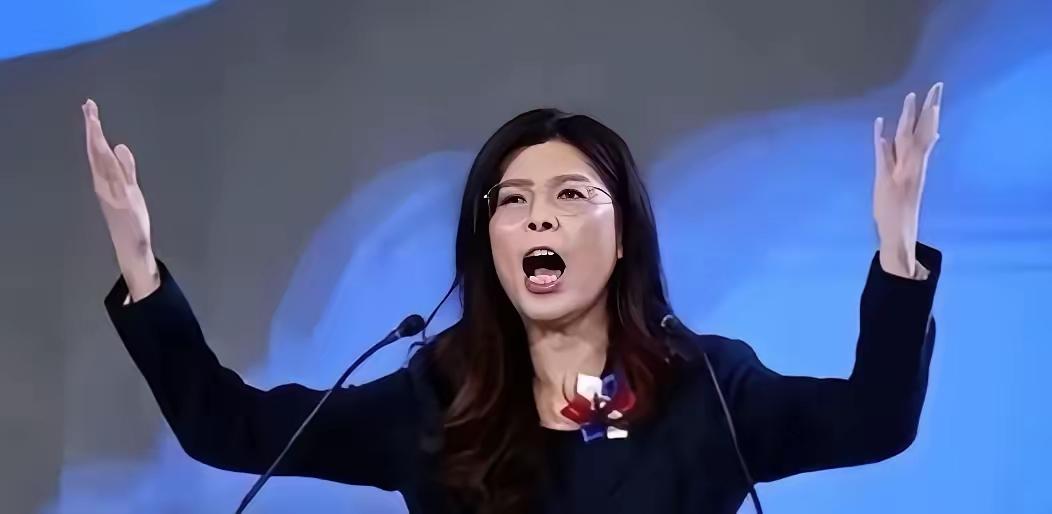 郑丽文在台北开腔，首次公开否认“一国两制”，不再兜圈子。这番话丢在岛内政坛，立马