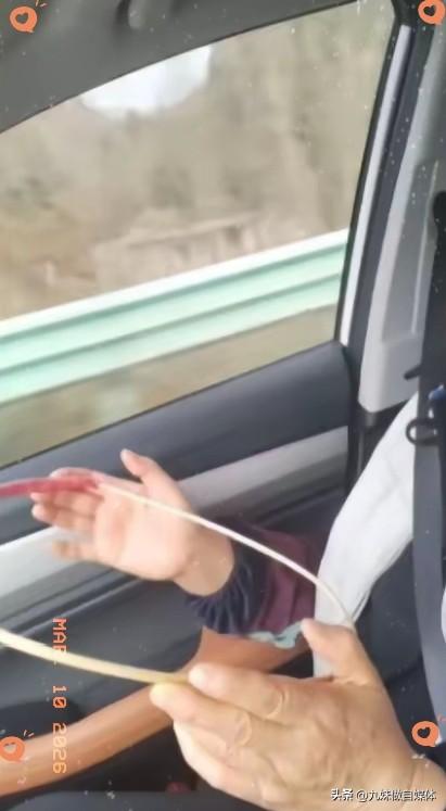 “人怎么能这么聪明！”浙江，一男子的母亲晕车严重，为了让母亲舒服，男子找了一个树