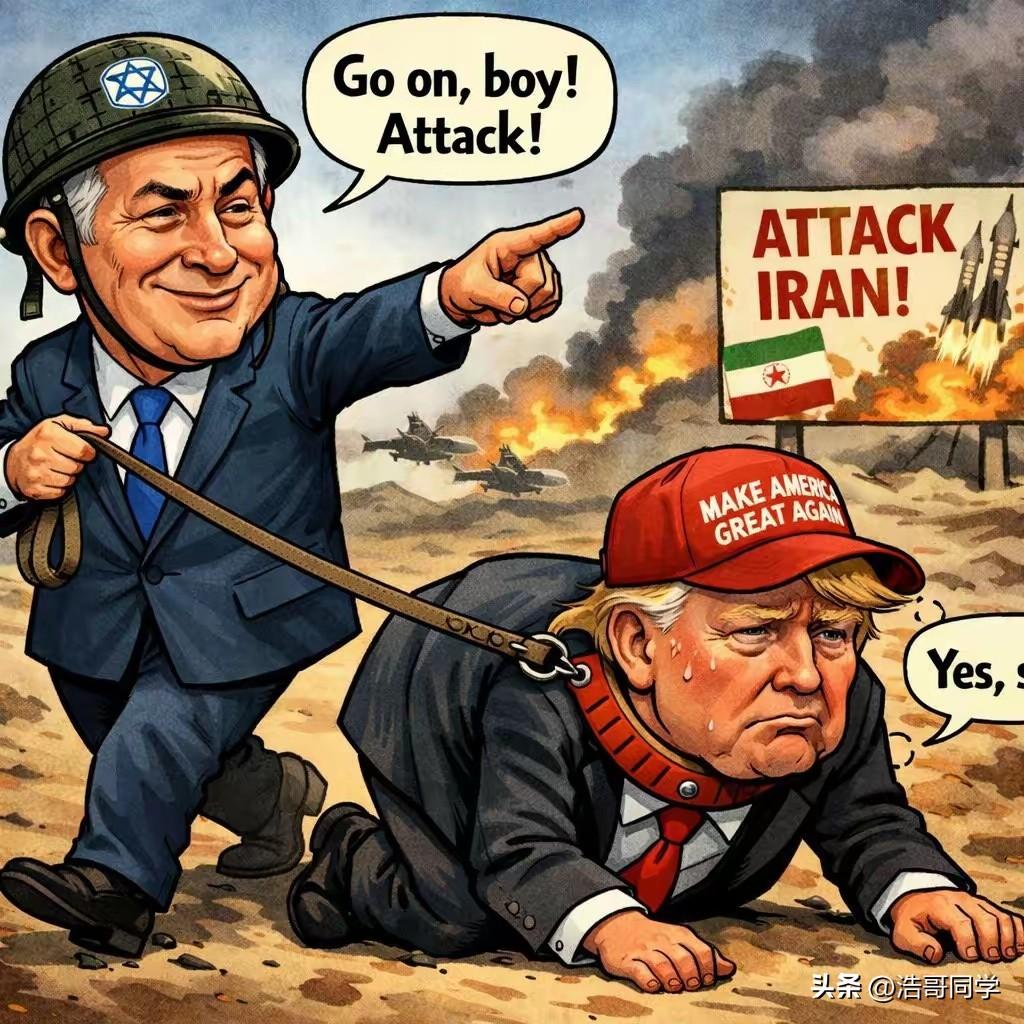 这是哪位大神创作的漫画，简直就是神还原了老美与以色列的关系……以色列就是中东小霸