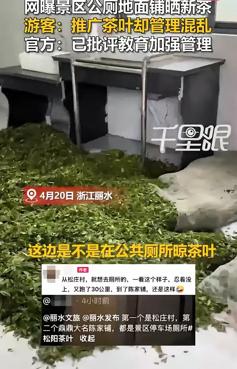 俺今天看了一个新闻，心里觉得很纳闷，不可思议……

浙江丽水那边，有个女游客去景