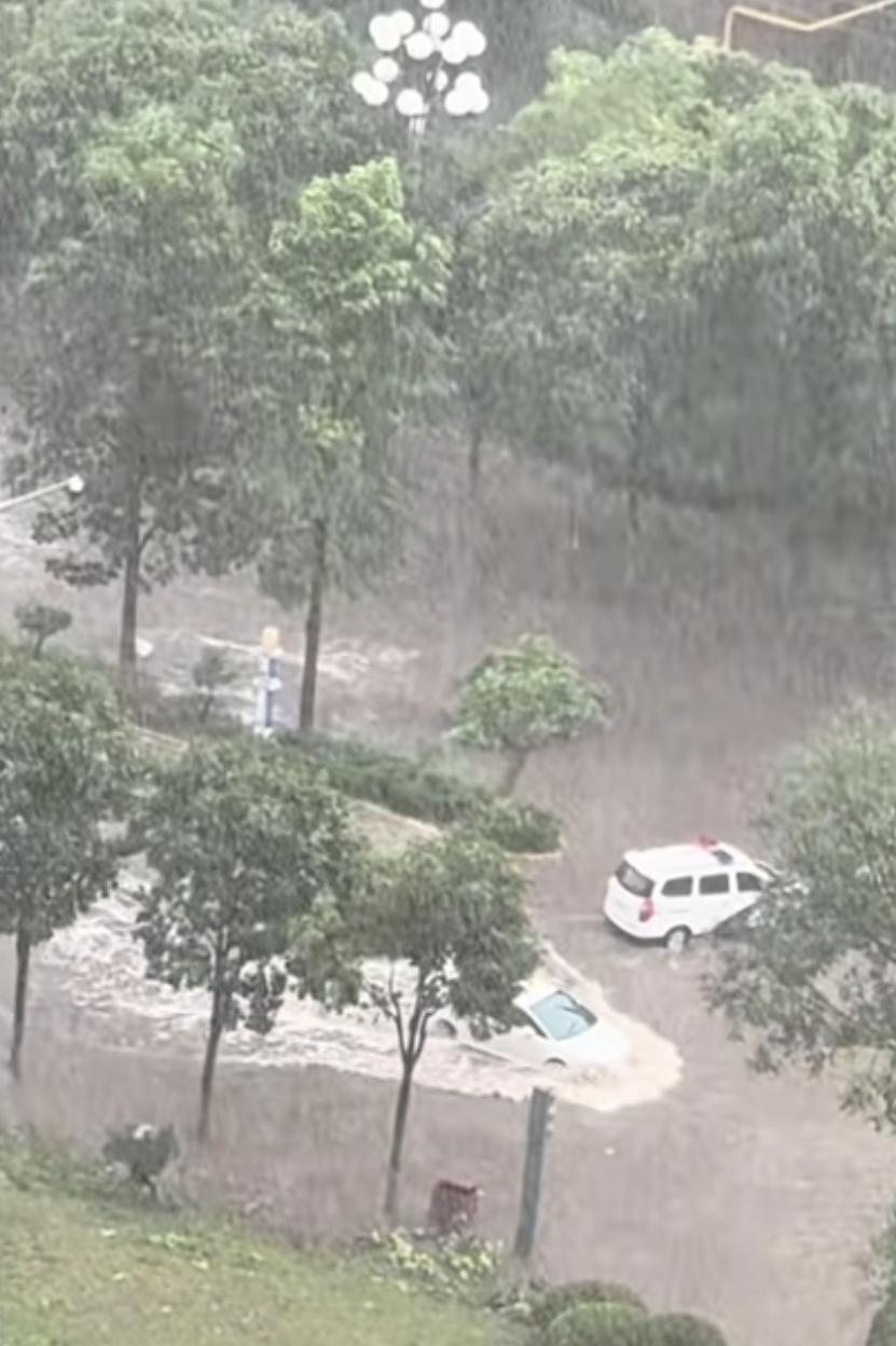 韩城今天的雨太突然了！我午睡时看到极端天气的预警推送，还有点不相信，喝了点感冒药