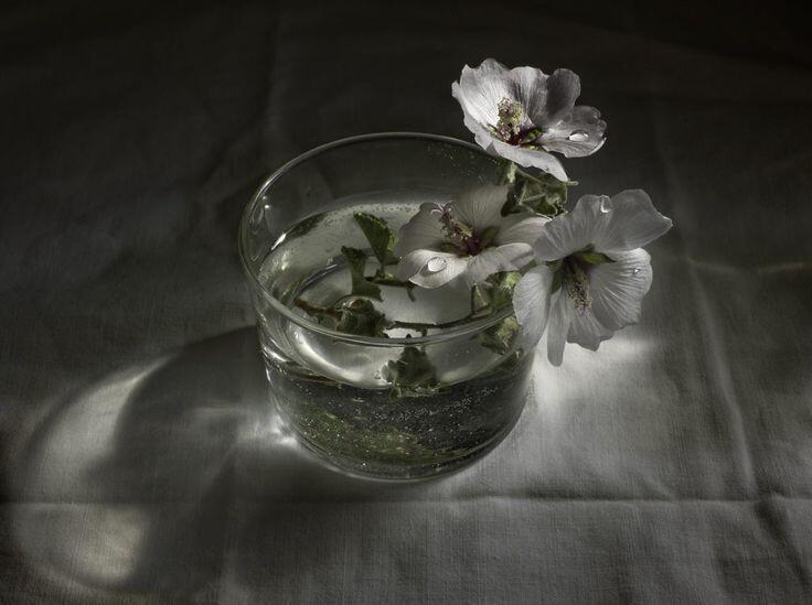 【背景图】分享‹𝟹₊˚⊹♡绿色|黑色|复古|中式|文艺|抹茶|书籍|园林|清冷