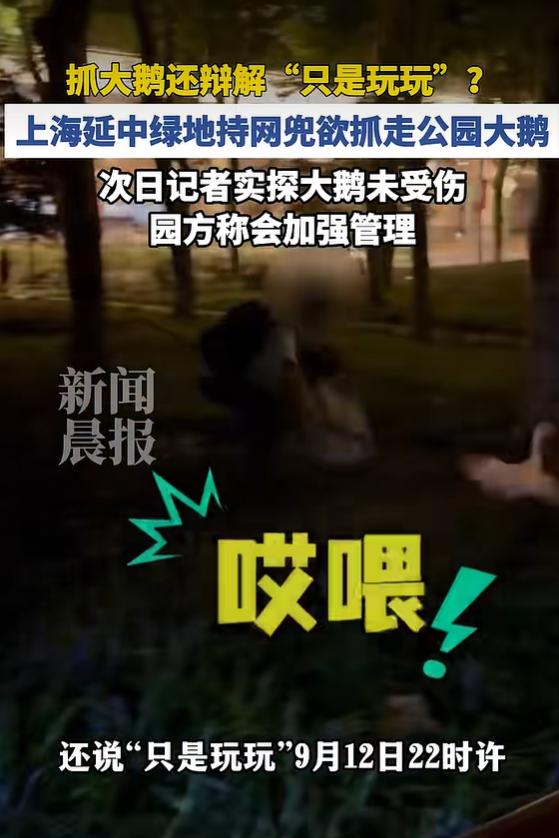 澎湃新闻 9 月 14 日报道，有网友爆料，9 月 12 日 22 时许，上海黄