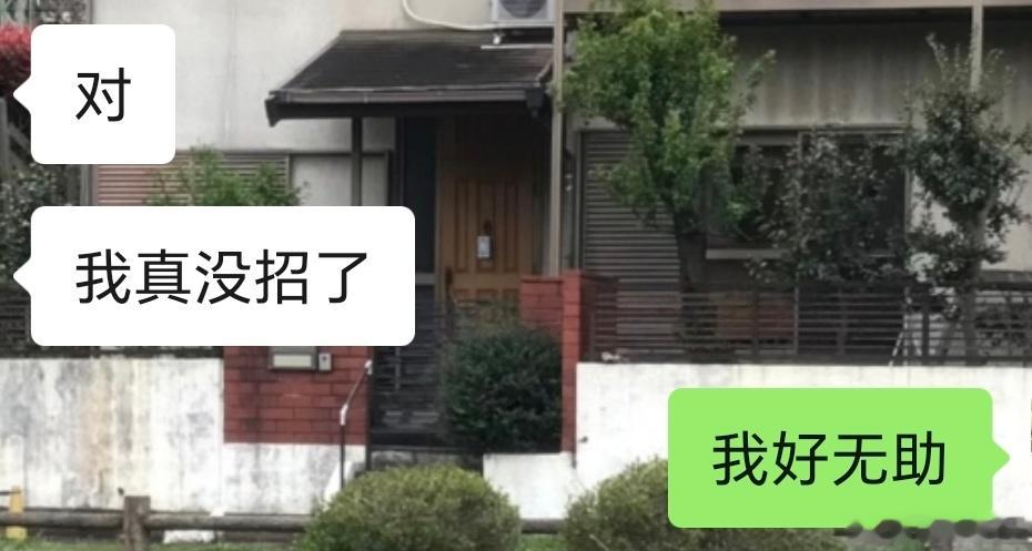 知道我在说什么的都会理解为啥真没招了😇😇 