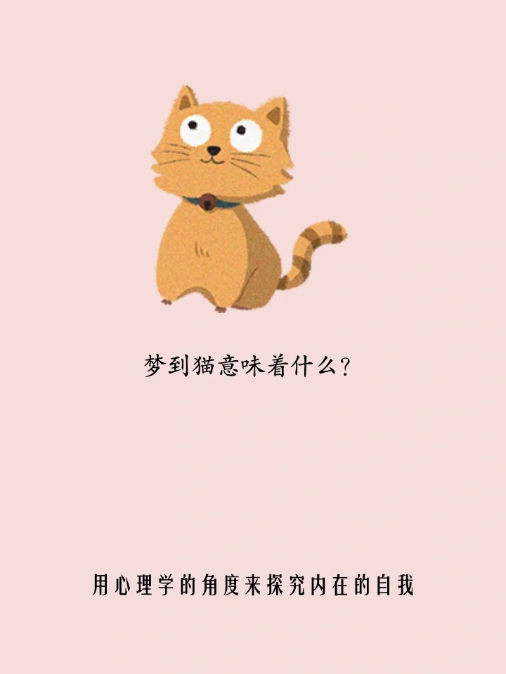 梦境之谜，我昨晚做梦梦到猫——探寻潜意识中的神秘信号