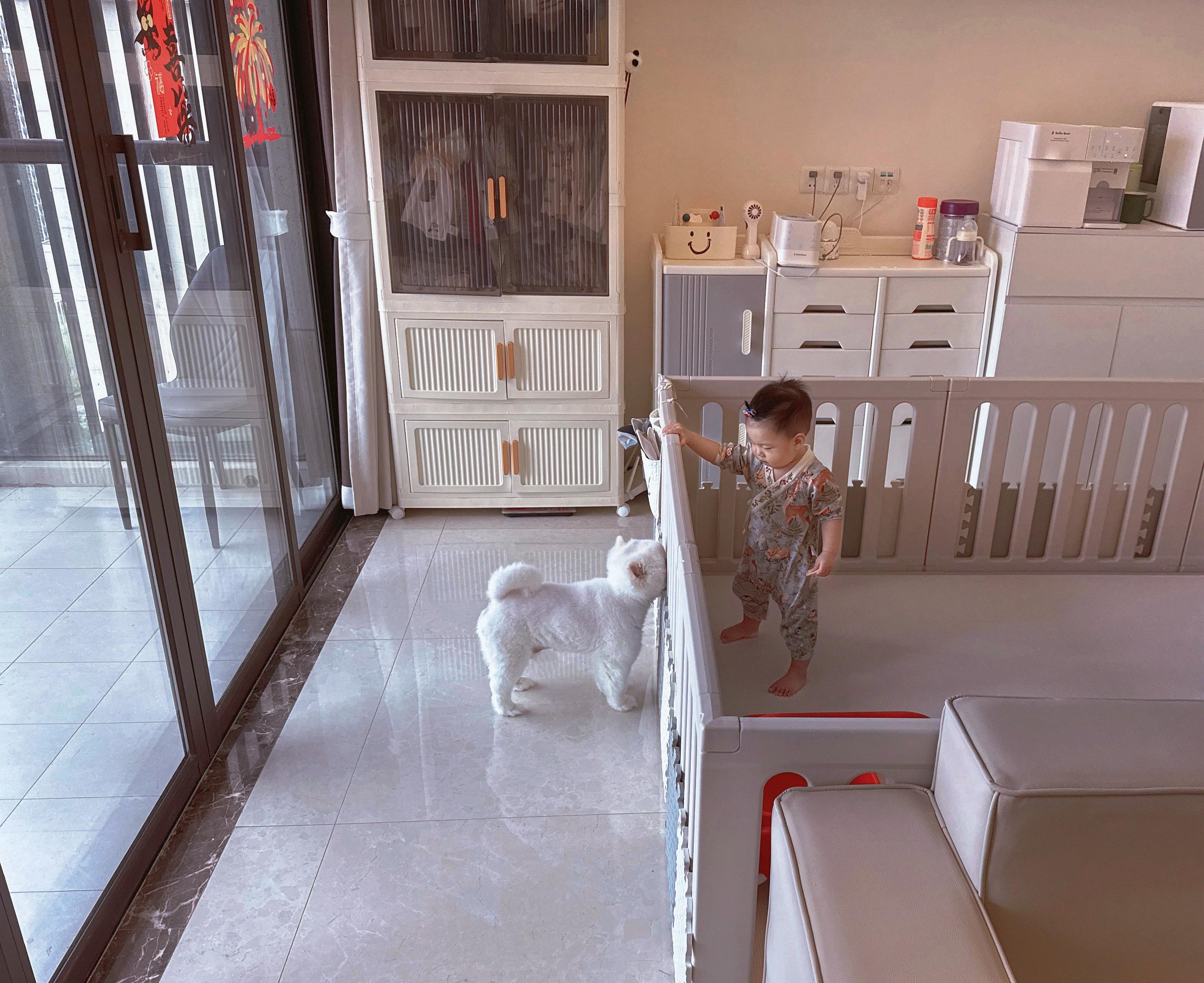 “你在妈妈肚子里的时候 我就陪着你了”   最治愈的组合