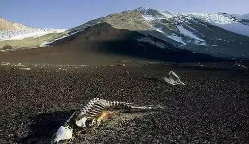 在中国广袤的土地上，藏着四个让人望而却步的 “人类禁区”，它们或因极端环境，或因