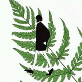 暖暖蓬侃侃国际