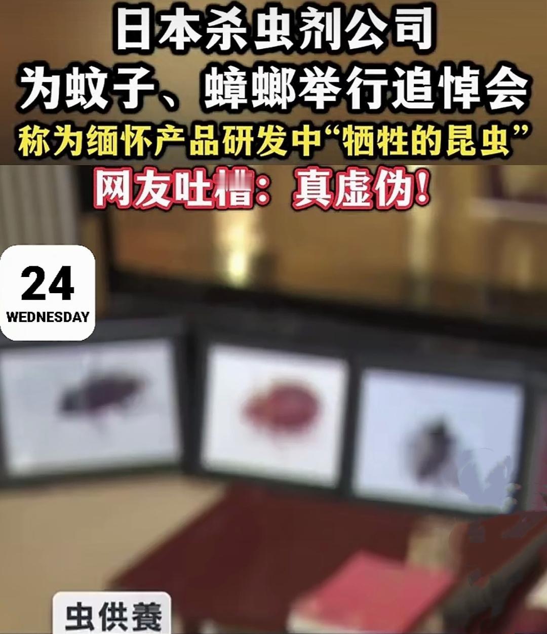 活那么大还从没见过给苍蝇、蟑螂开追悼会的，这是有多么虚伪？

12月23日，日本