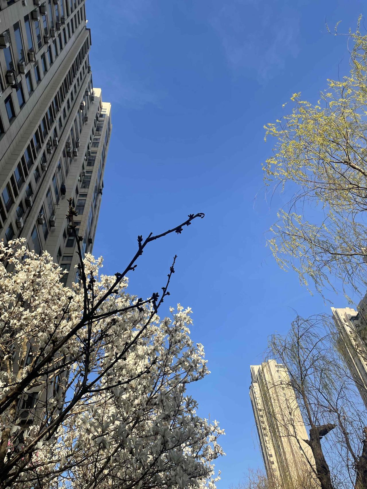 告诉你一个秘密


只有慢节奏的人，才会得到天地能量的眷顾！

老子在《道德经》