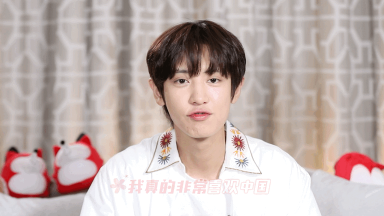 我一看到朴灿烈的搜狐采访🦊我就爽得我我腿也不麻了，肩也不僵了，脖子也不疼了，胃