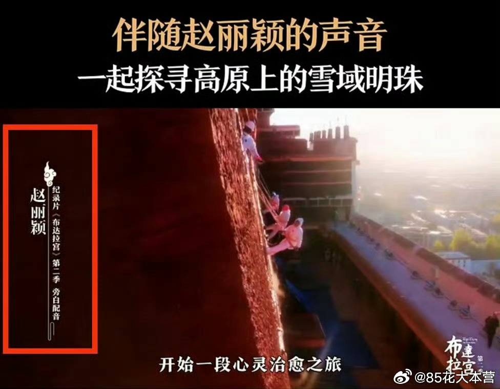 2025广电视听精品合集｜2025广电年鉴——赵丽颖全程配音的纪录片《布达拉宫第