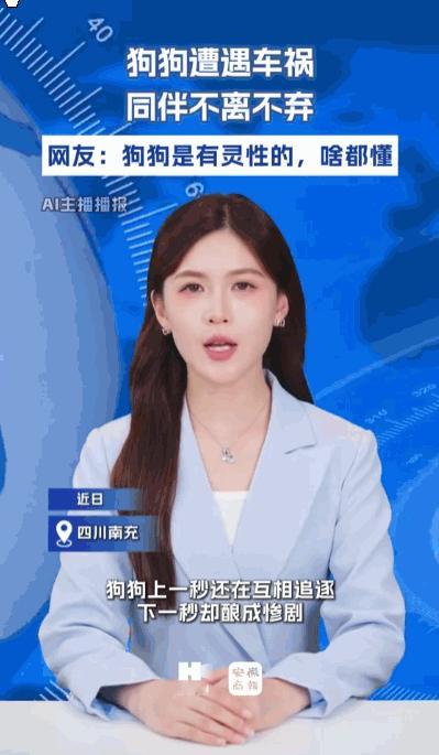 狗不嫌家贫，人怎能不懂情义？据媒体5月11日报道，四川南充，两只相伴已久的狗狗在