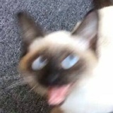 姝涵最爱娱乐