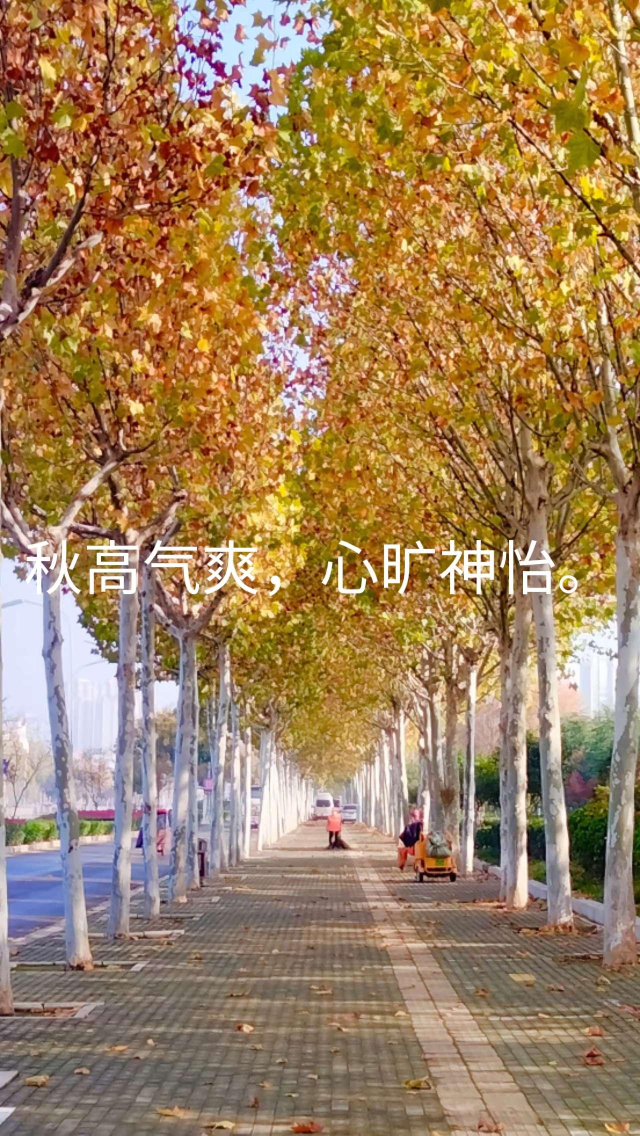 秋天的商丘，好美。
   秋天的豫东名城——商丘市，真的好美啊。
   秋高气爽