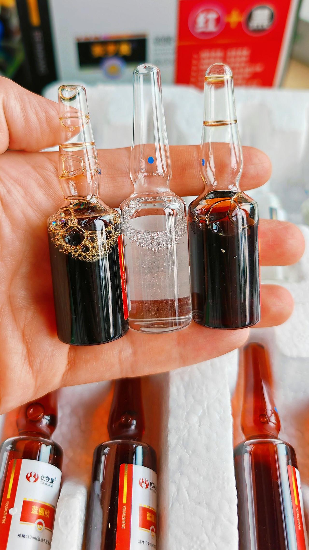 养羊人 农村养羊 牛羊养殖