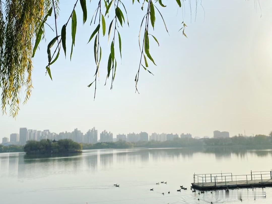 同学毕业刚参加工作那几年，我每到节假日回乡，她都要请我吃饭相聚。如果让她离开家乡