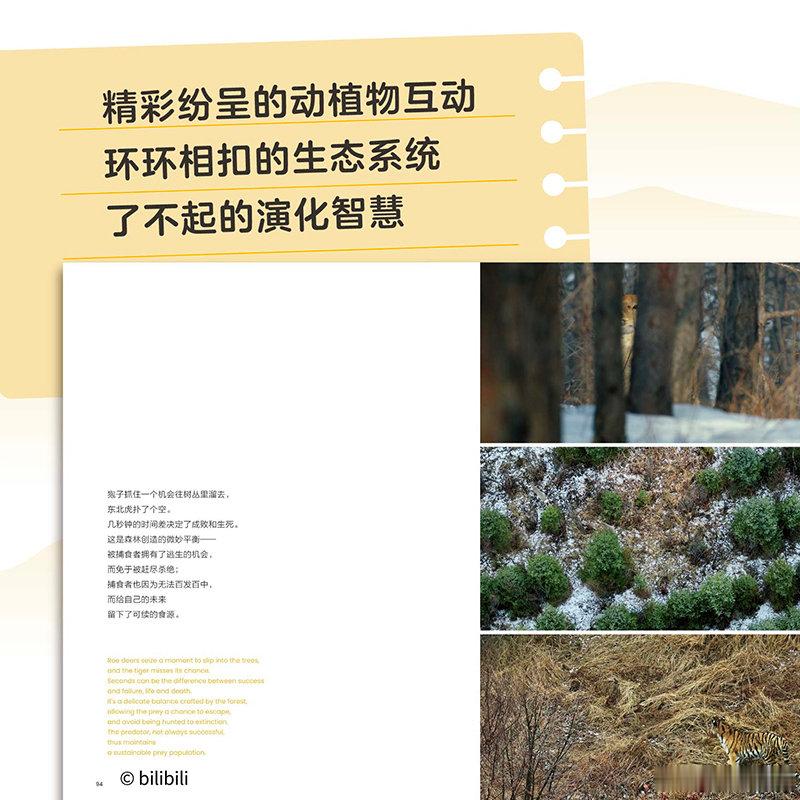 知書club 新书介绍丨《东北虎豹国家公园》属于“我们的国家公园”丛书，改编自由