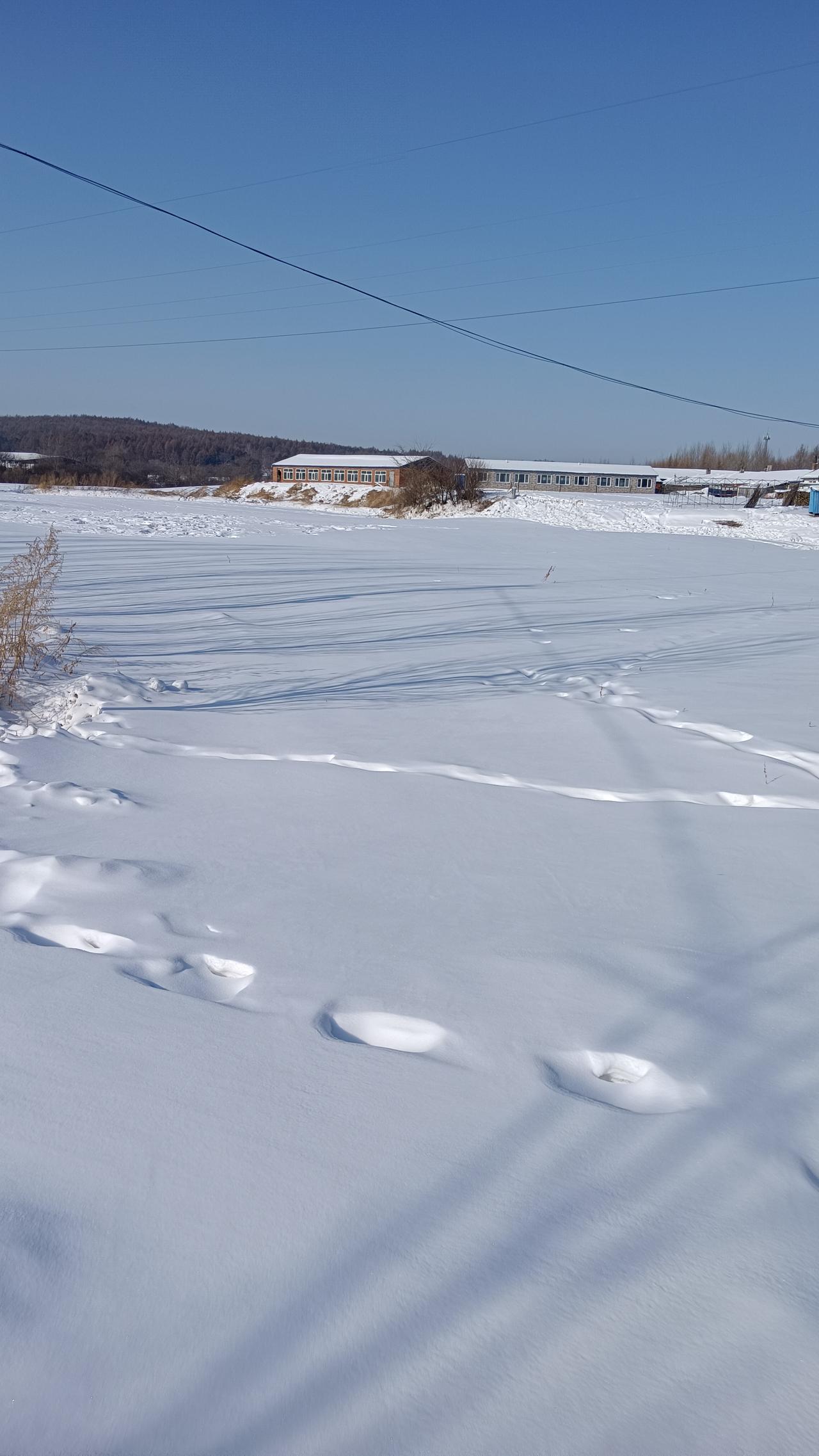 开春了，农民又该准备化肥种地了！

去年冬天就下了一场雪，应该够用不会导致春旱，