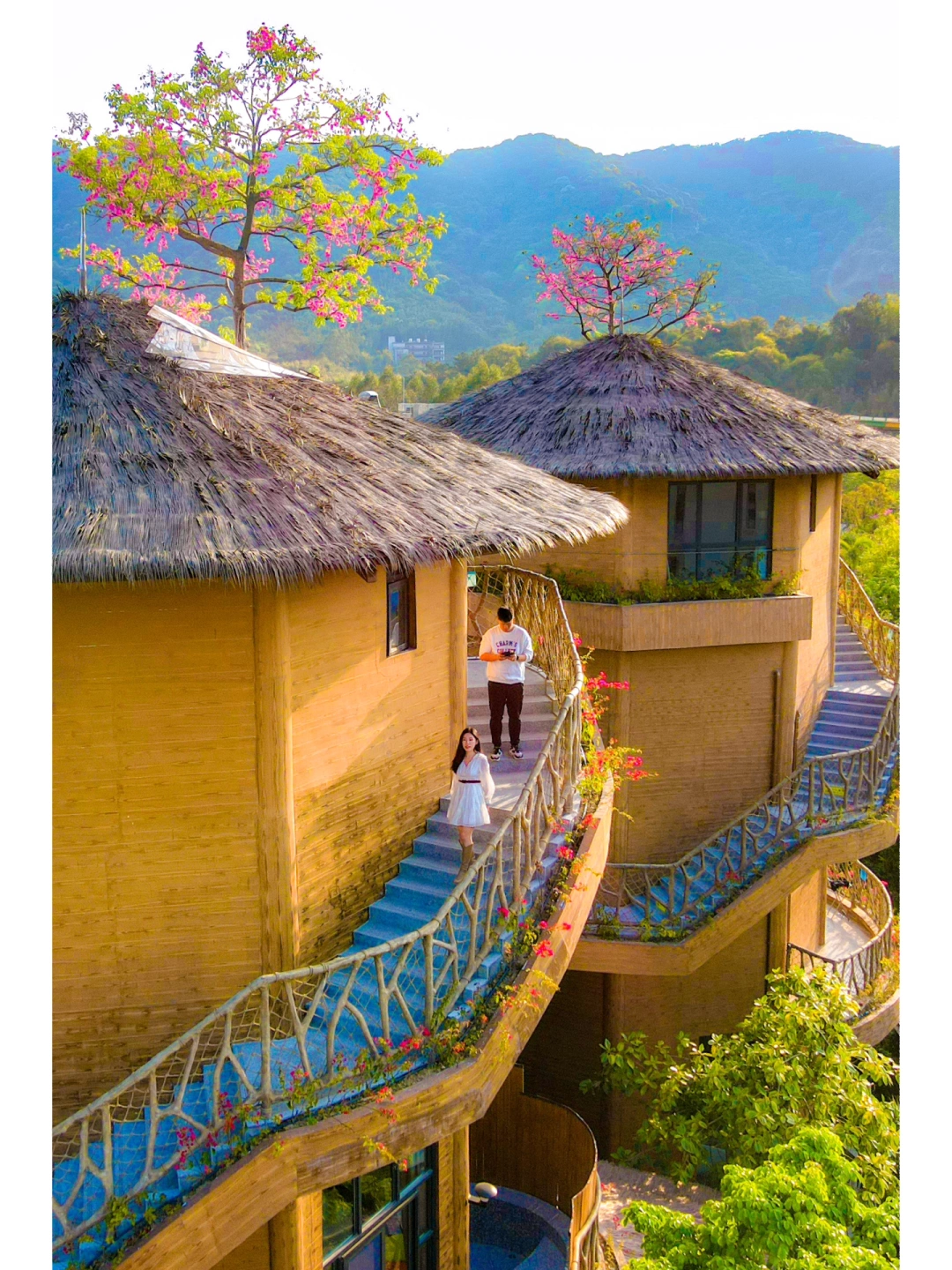 度假好去处！广州自驾1H🚗住进森林树屋里🌲