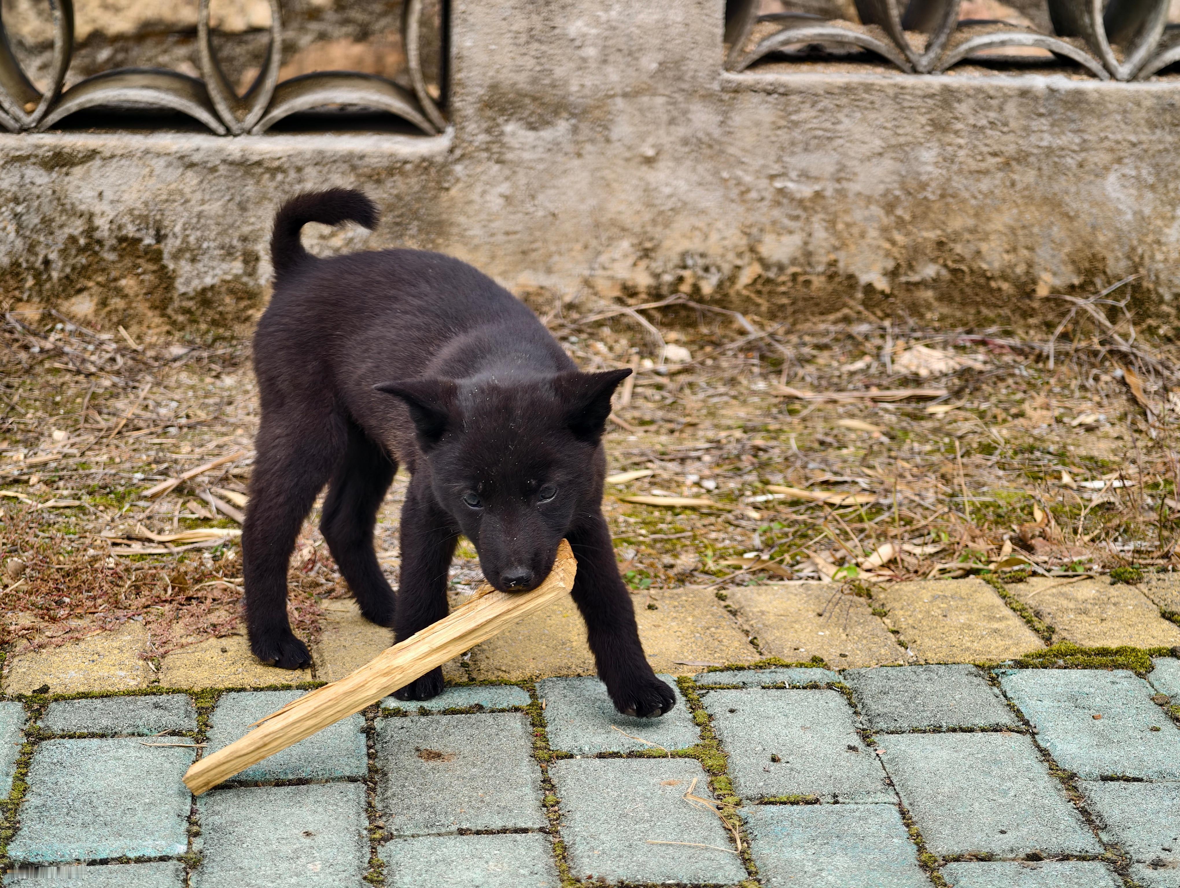 嘿嘿，好可爱的后脑勺伞花打工日记
