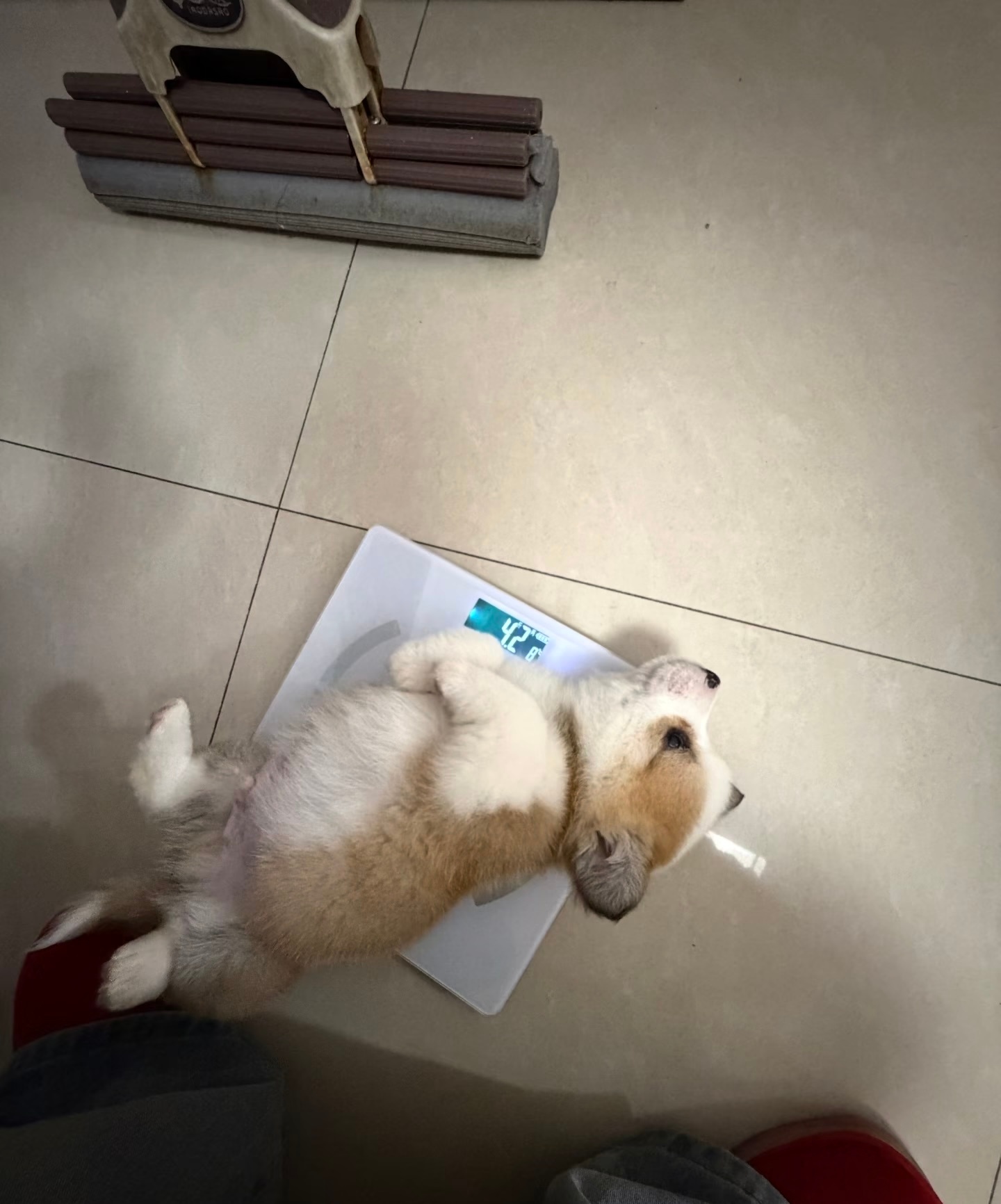 吃饱饱啦，该睡午觉啦 