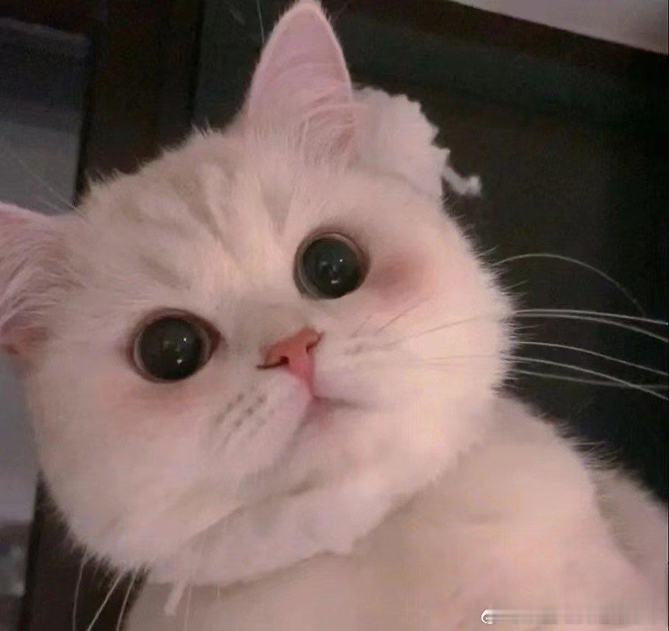 #citywalk不来外滩太亏了#外滩和我们的夏日真的就是绝配，在这个暑期档里真