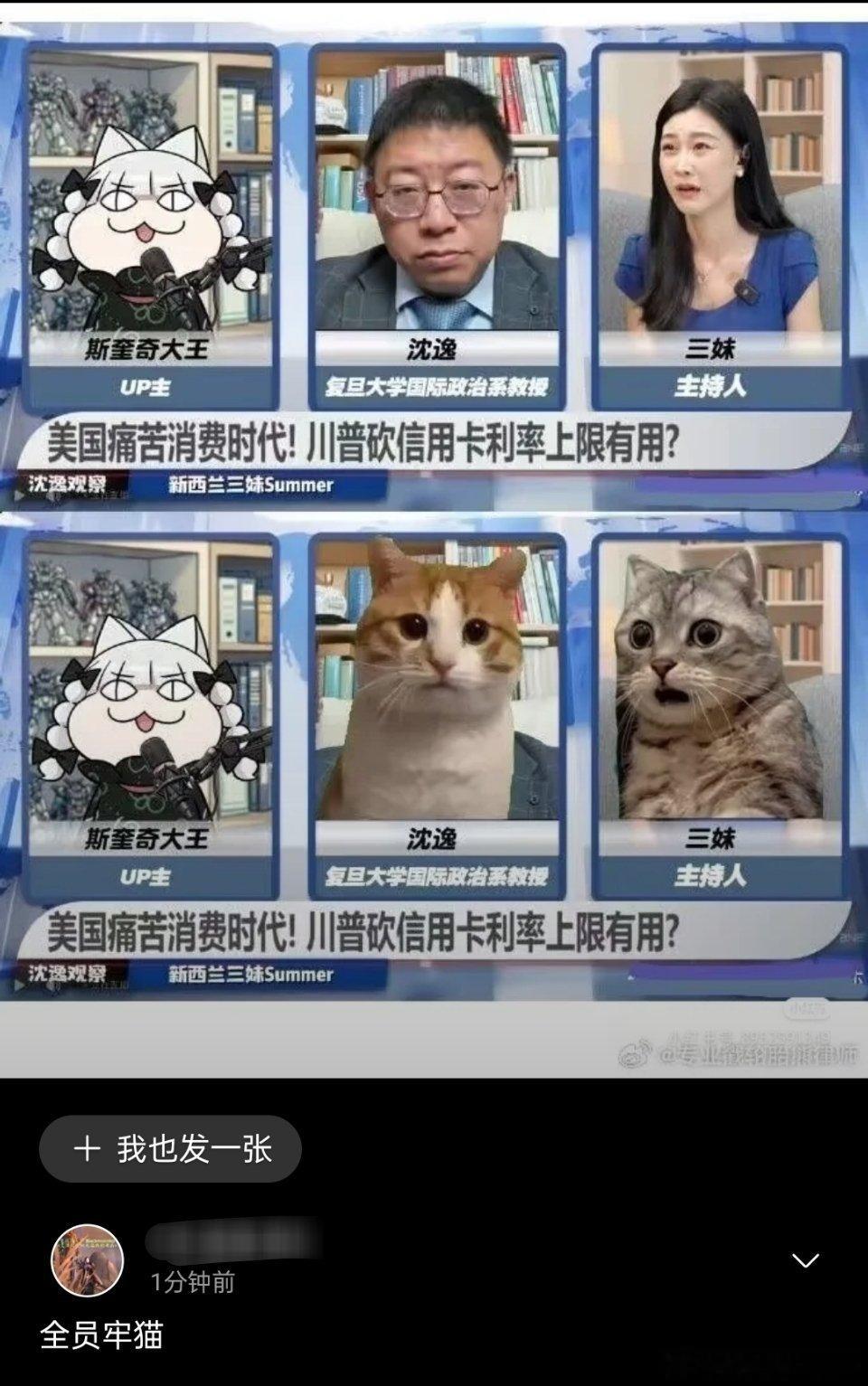 沈逸 牢A沈逸和牢a的直播太有意思了。最后全员牢猫了，又一张表情包诞生。