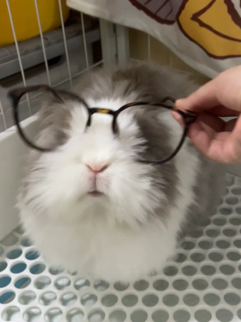 麻麻 什么也看不到鸭🤓