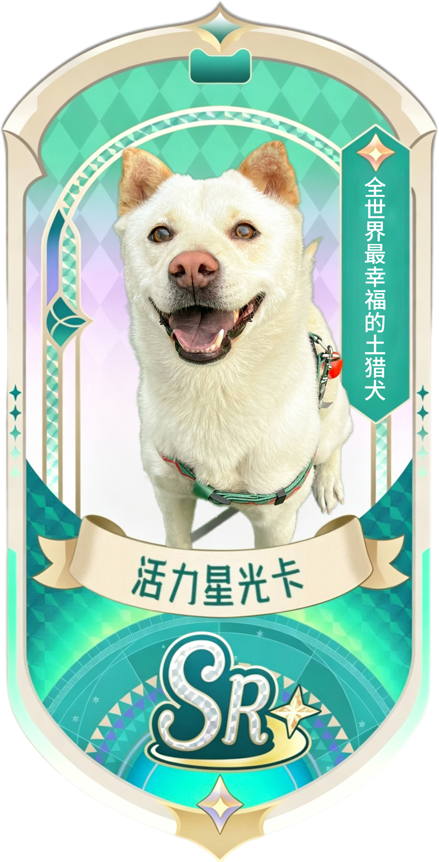 VSsR小卡 女明星也要有嗷 可以来图订制专属女明星小卡嗷喜欢吗 喜欢吗喜欢吗?