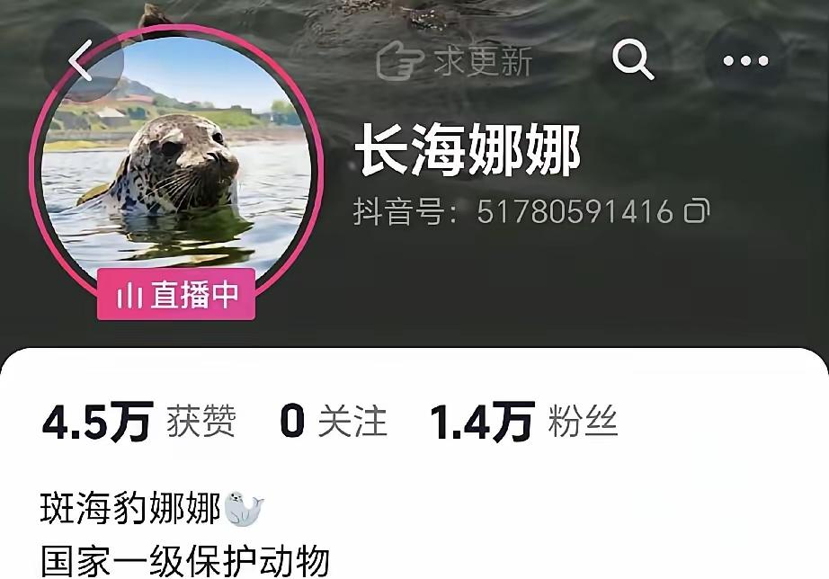 这个网红小娜娜你可把大伙急死了
这么调皮出去玩玩了那么久 一天没见豹影
大半夜才